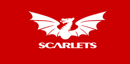 Scarlets Rugby